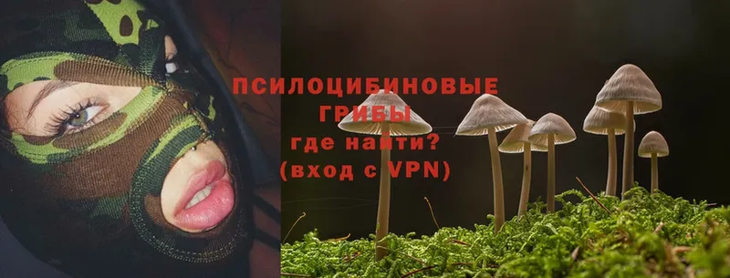 Псилоцибиновые грибы Psilocybine cubensis  кракен рабочий сайт  даркнет наркотические препараты  Кодинск 